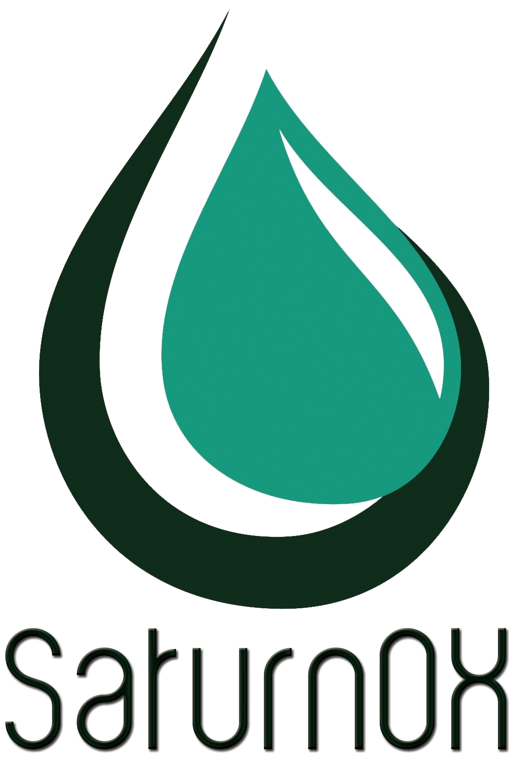 SaturnOx Logo